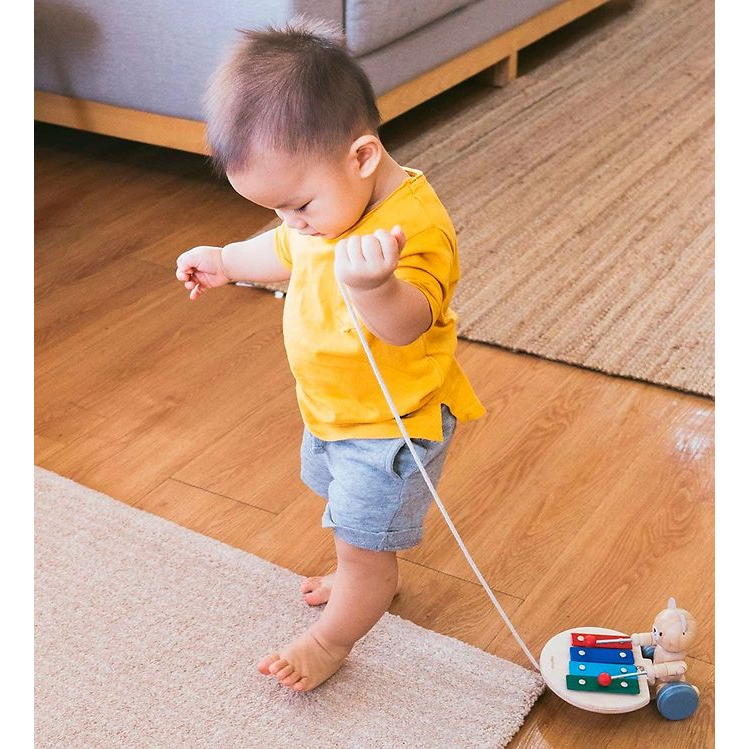 PlanToys ของเล่นไม้ แปลนทอยส์ หมีดนตรี ลากจูง PULL ALONG MUSICAL BEAR (1y+)