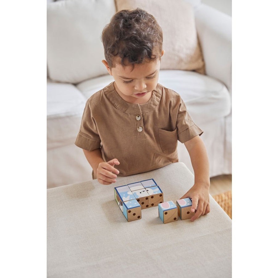 PlanToys ของเล่นไม้ แปลนทอยส์ จิ๊กซอว์ลูกบาศก์รูปสัตว์ Animal Puzzle Cubes (2y+)
