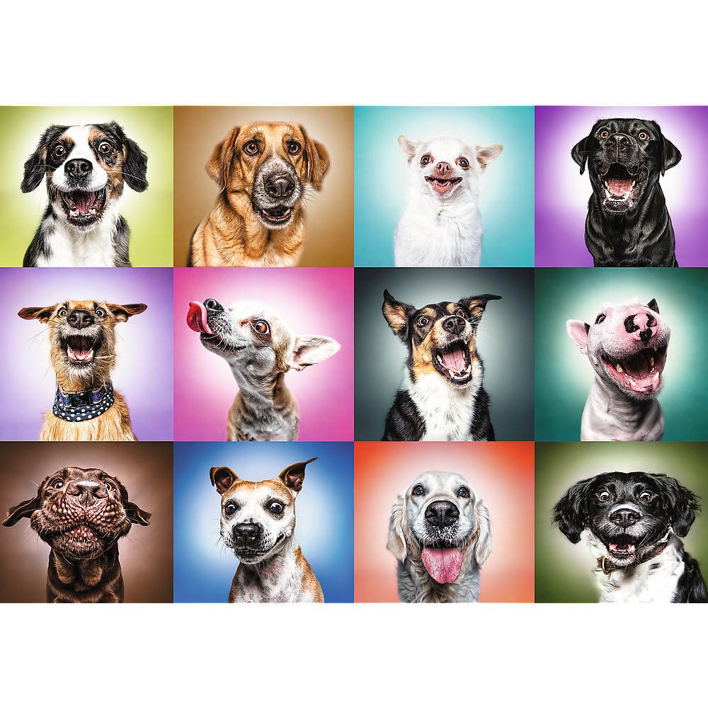 TREFL PRIME Jigsaw จิ๊กซอว์ จำนวน 1000 ชิ้น รุ่น Funny Dogs Faces (68.3x48 cm.) นำเข้าจากยุโรป