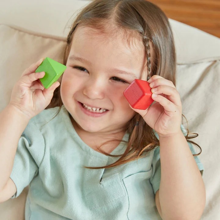 PlanToys ของเล่นไม้ แปลนทอยส์ หยอดบล็อก กล่องแยกรูปทรง เสริมพัฒนาการ SHAPE SORTING BOWL (1y+)