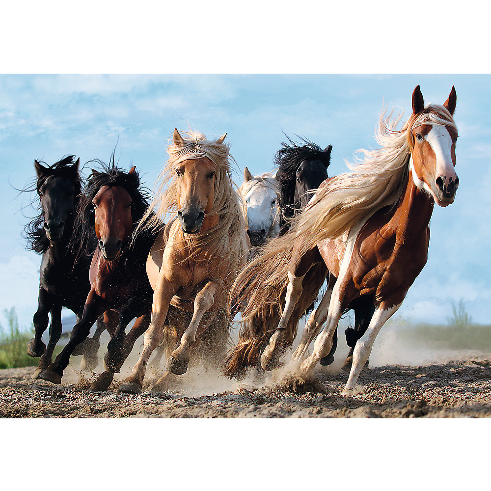 TREFL Jigsaw จิ๊กซอว์ 1000 ชิ้น รุ่น Galloping Horses (68.3x48 cm.) ผลิตและนำเข้าจากยุโรป พร้อมส่ง