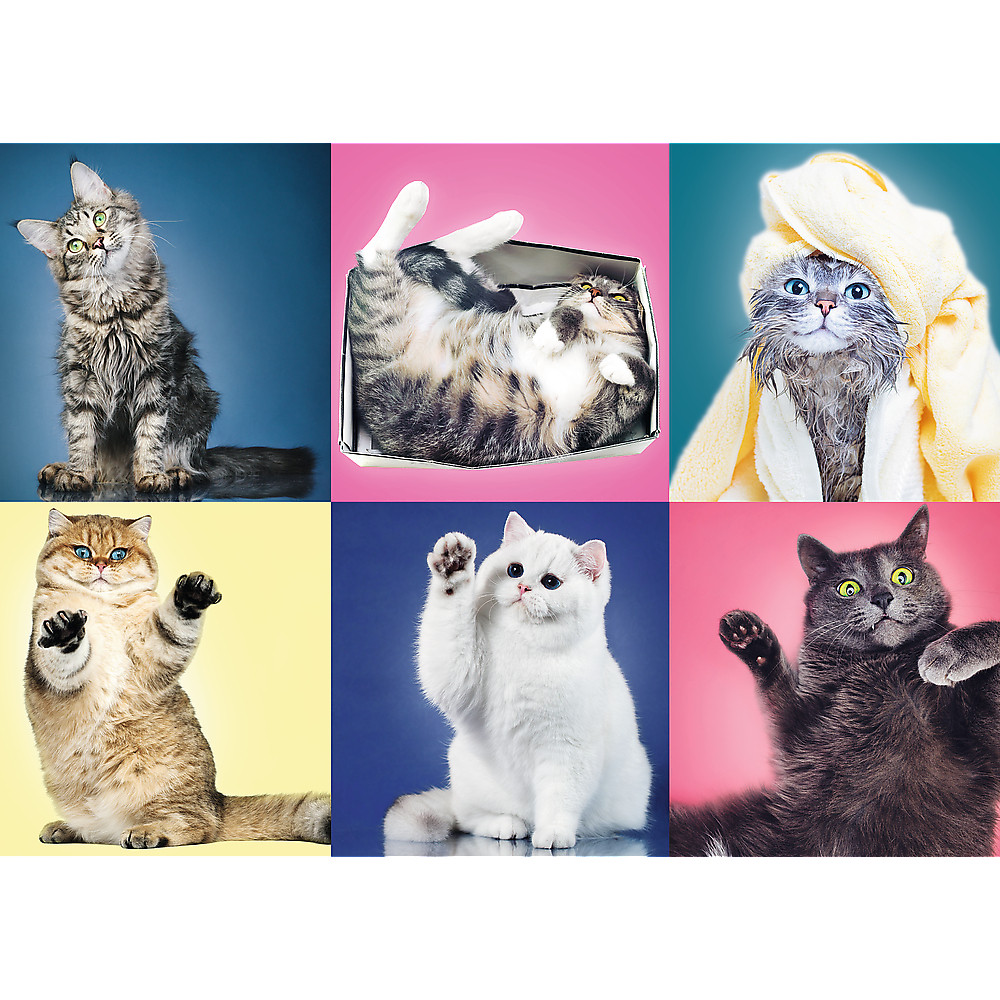 TREFL Jigsaw จิ๊กซอว์ จำนวน 500 ชิ้น รุ่น แมว Kittens (48x34 cm.) นำเข้าจากยุโรป พร้อมส่งทุกรายการ
