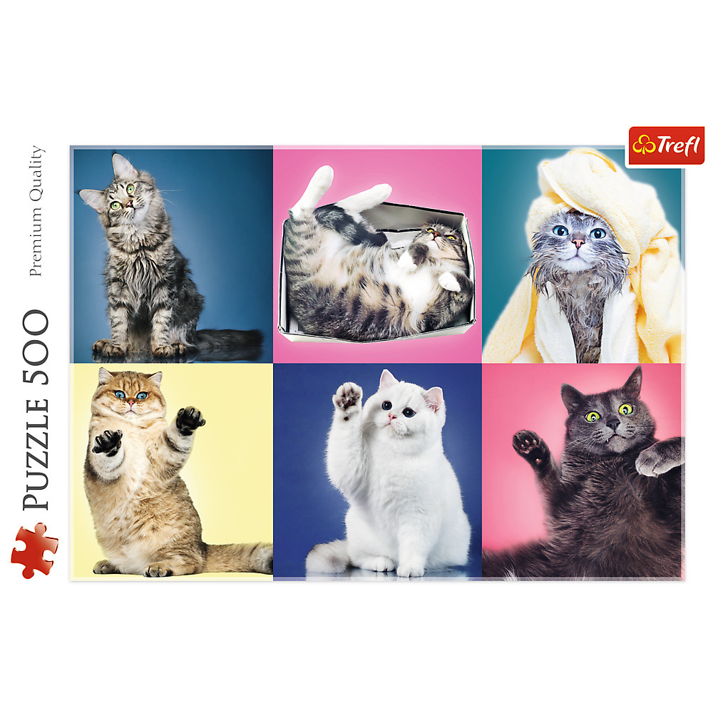 TREFL Jigsaw จิ๊กซอว์ จำนวน 500 ชิ้น รุ่น แมว Kittens (48x34 cm.) นำเข้าจากยุโรป พร้อมส่งทุกรายการ