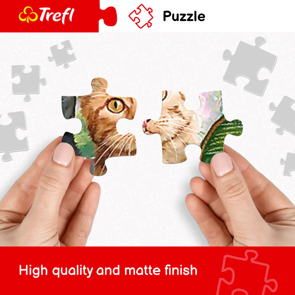 TREFL Jigsaw จิ๊กซอว์ จำนวน 4000 ชิ้น รุ่น Large physical map of the world (136x96 cm.) ผลิตและนำเข้าจากยุโรป