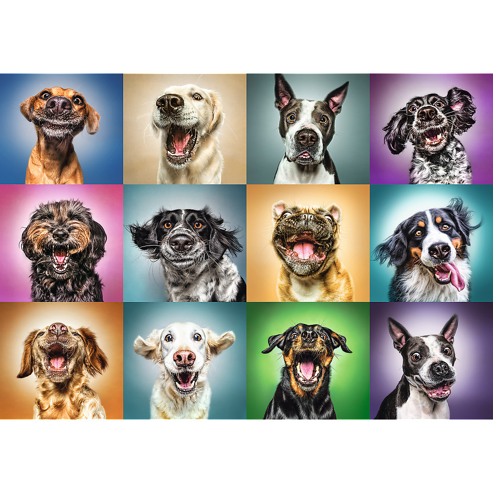 TREFL Jigsaw จิ๊กซอว์ จำนวน 1000 ชิ้น ลาย หมา แมว Cats Dogs Puzzles (68.3x48 cm.) ผลิตและนำเข้าจากยุโรป พร้อมส่ง