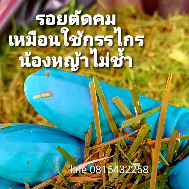 ⚡FLASH SALE⚡ ส่งฟรี ส่งจากไทย รถเข็น ตัดหญ้า หน้ากว้าง20นิ้ว (50cm) สั่งทำพิเศษ ไม่ใช้ไฟฟ้า ไม่ใช้น้ำมัน แค่เข็น