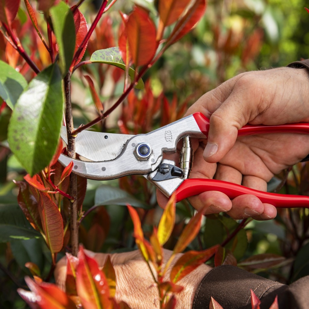 Felco เฟลโก้ กรรไกร ตัดแต่ง กิ่งไม้ อเนกประสงค์ Felco4 (Made in Swiss) สามารถเปลี่ยนใบมีดได้