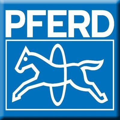 PFERD ตะไบแบนละเอียด 12" เยอรมัน พร้อมด้าม ตราม้าลวดบ่วง Flat File PFERD  CS-FH 1122 300 C3