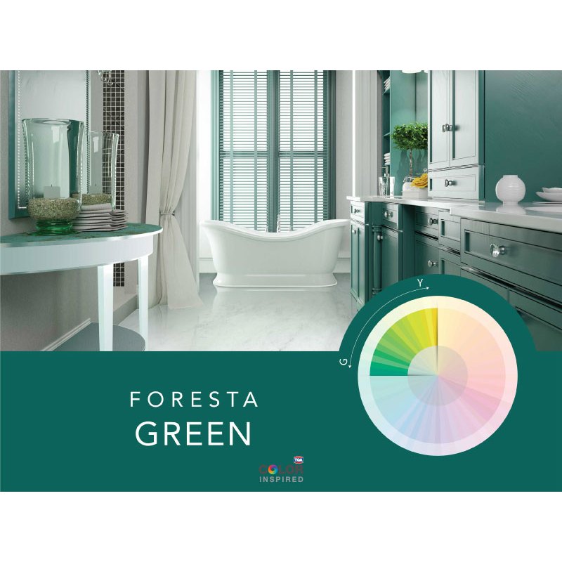 TOA Color World Expert New Fandeck ทีโอเอ พัดสี รุ่นใหม่