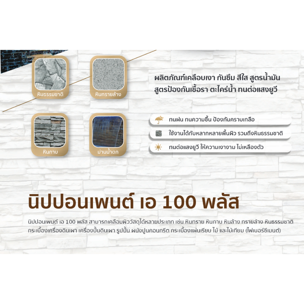 นิปปอนเพนต์ เอ 100 พลัส ขนาด 3.785 ลิตร น้ำยาเคลือบเงากันซึม สีใส สูตรป้องกันเชื้อราและตะไคร่น้ำ