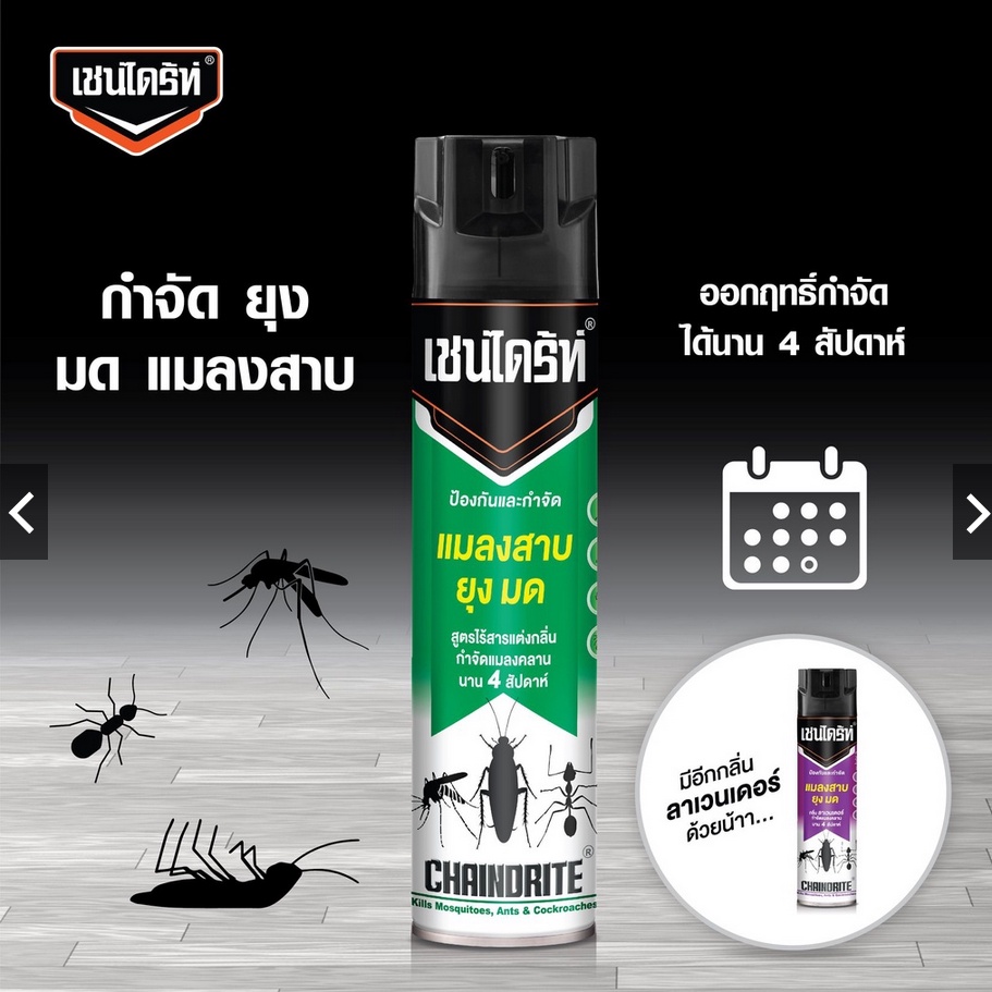 Chaindrite เชนไดร้ท์ 5 เชนไดร์ทสเปรย์ ป้องกันและกำจัด แมลงสาบ ยุง มด สูตรไร้สารแต่งกลิ่น 300 มล.