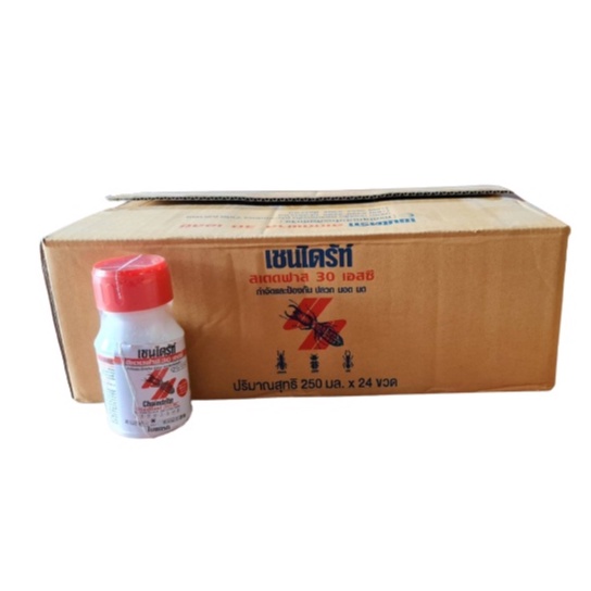 Chaindrite [ขายยกกล่อง 24 ขวด] เชนไดร้ท์ สเตดฟาส 30 เอสซี ขนาด 250 cc. [250 มล.] น้ำยากำจัดปลวก แบบเข้มข้น