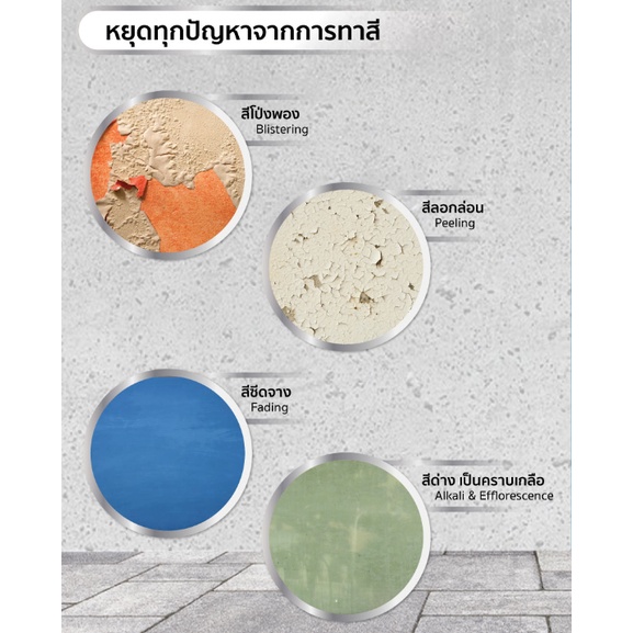 Nippon Paint สีรองพื้น อเนกประสงค์ ปูนใหม่ ปูนเก่า ปูนสด นิปปอนเพ้นท์ ควิกซีลเลอร์ ขนาด 1 /2.5/5 แกลลอน สูตรน้ำมัน